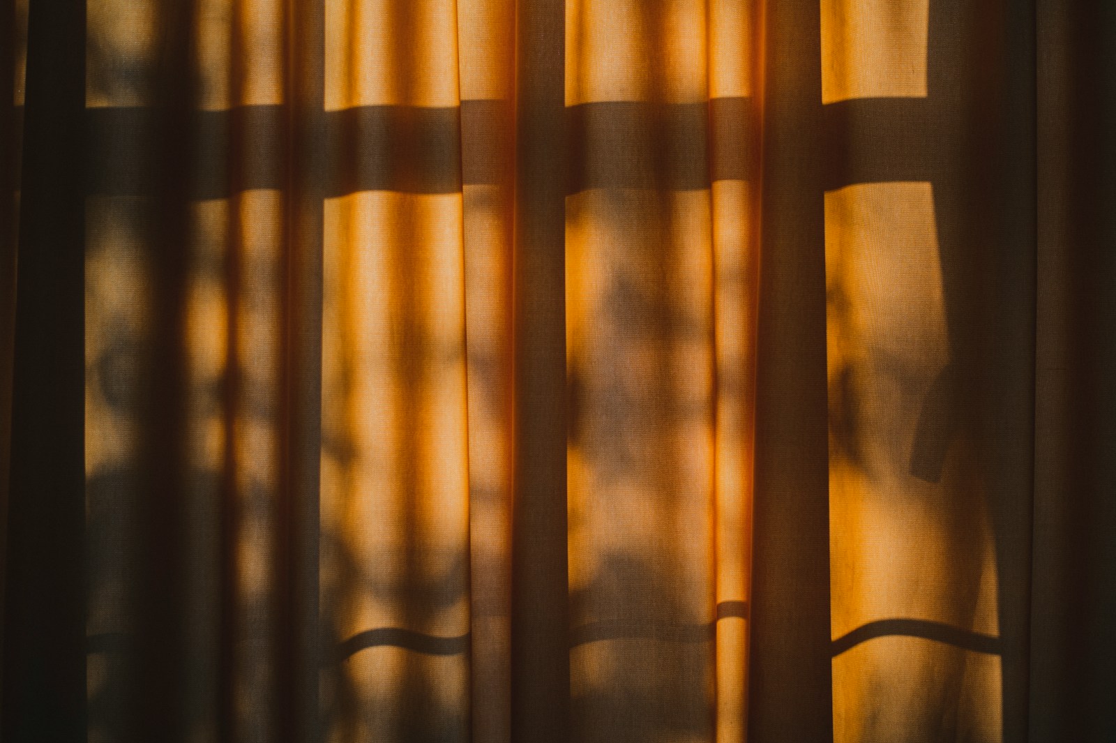 Trouvez Votre Style: Quel Type de Rideau pour Rail Vous Convient?